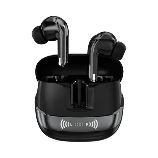 L-213 Earbuds